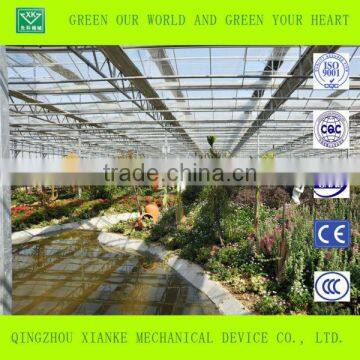 Commercial Large Scale Green House photo-3