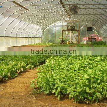 Arch Pipes Tunnel Greenhouse Grow Tent/Plastic Greenhouse For Vegetables photo-6