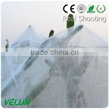 Nonwoven Fruit Cooler Bag photo-2