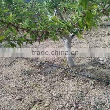High Quality PE Pressure Compensation Drip Pipe for Irrigation System photo-2