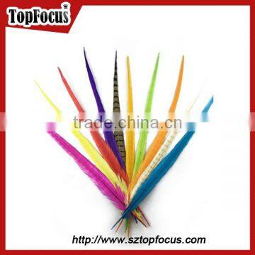 50-55cm Assorted Color Dyed Pheasant Tail Feathers photo-6