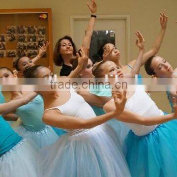 Whoesale Fluffy Flower Romantic Skirt Tutu for Girls photo-3