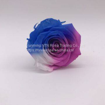 Dried Flowers, Flower Box For Preserved Roses, Preserved Rose Flower