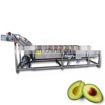 China Factory Supply Commercial Fruit Vegetable Cleaning Washing Machine Apple Fruit Washer photo-5