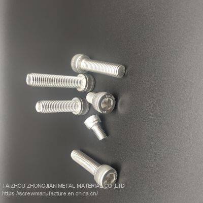 Stainless Steel Hex Socket Head Screw M5*30