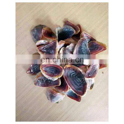 5-8cm Black Brown Conch Murex Ramosus AD BQF Dry Shellfish DRIED MUREX OPERCULUM For Perfume Application photo-5