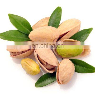 pistachio siirt nichols pistachio  wild pistachio