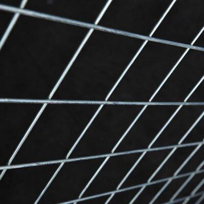 Galvanized Iron Wire Welded Mesh Panel for Agricultural and Security Enclosures photo-5