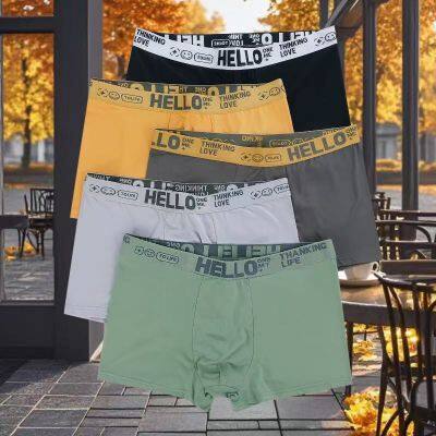 Cheap Men Boxer Briefs Boys Panties Men Underwear Polyester Pants KSL001 Letter: HELLO