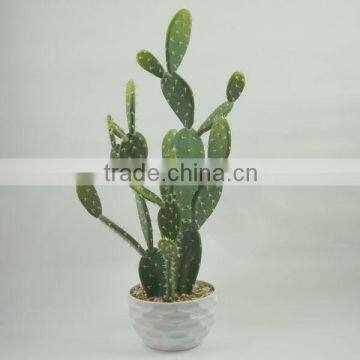 Real touch decorative cactus plants item wholesale