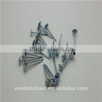 Hardware Umbrella Roofing Nails photo-3