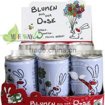 Flowers in tin cans, Display box can flower