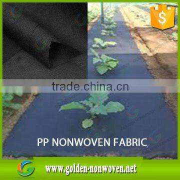 Polypropylene Fabric Weed Control Mat/Fruit Containers pp Nonwoven Fabric/1.6m Black Agriculture Non Wovens Spunbond photo-6