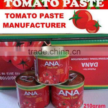 Canned Tomato Paste 210gram