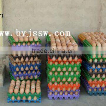 Egg Tray Carton Box With Cheap Price And Various Color (China Manufacturer)