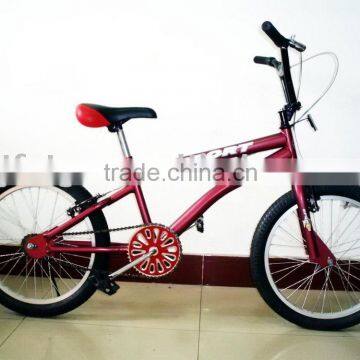 Freestyle bike