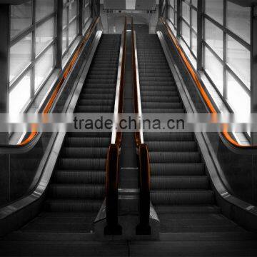 Professional of Escalator with standard design