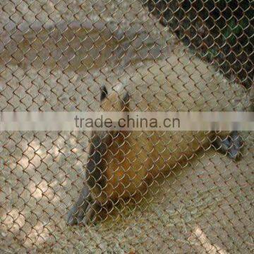 zoo aviary mesh, stainless steel animal enclosure cable mesh