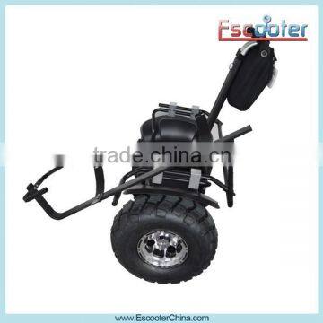 High Quality Two Wheel Self Balancing Golf Electric Chariot, Personal Transport Vehicle