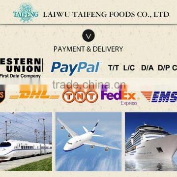 Hala Kosher FDA Certificate Pickled Radish photo-4