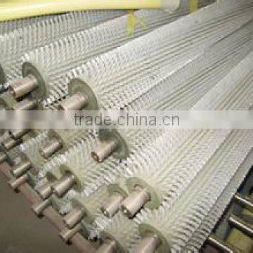 mango /apple cleaning processing line