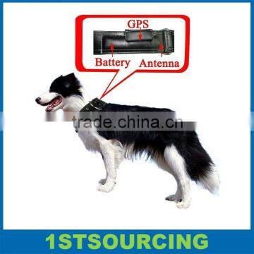 GPS dog collar GPS tracker