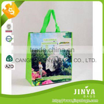 printed cartoon polyethylene woven shopping bag