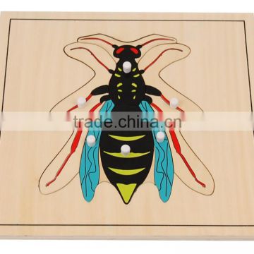 teaching aids Wasp puzzle