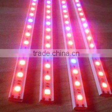 DC 12V 5050 SMD Rigid RGB Led Strip Light for Christmas Ornament With CE RoHs photo-2