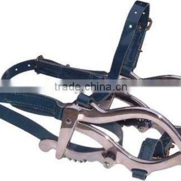 Horse Dental Equipment