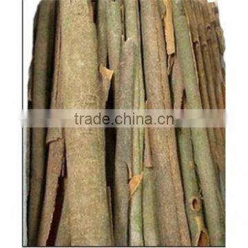 Single Herbs Spice Split Cassia