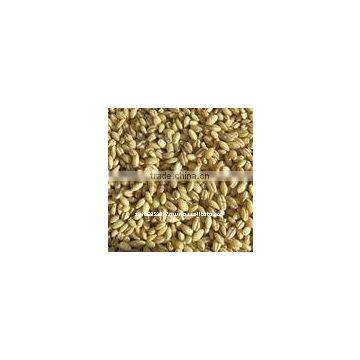 Australian organic pearl barley