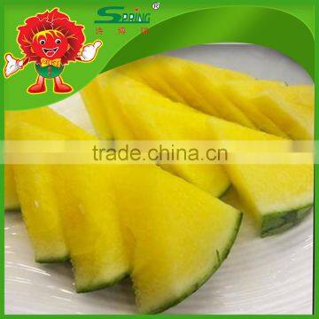 Wholesale Red Yellow Watermelon Farm Growing Watermelon Fake Watermelon photo-4