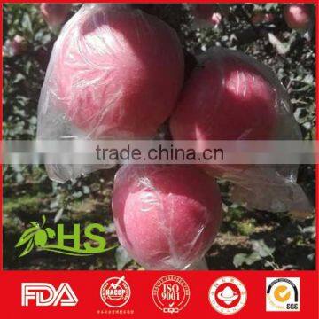 2016 new fresh honey fuji apples exporter in China