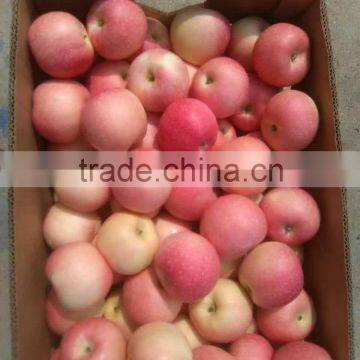 Fresh Red Gala Apple photo-2