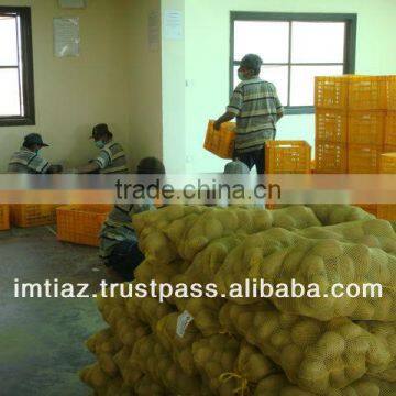 Best Potato from Pakistan
