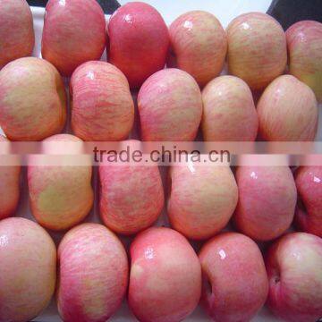 Yantai Apple photo-2