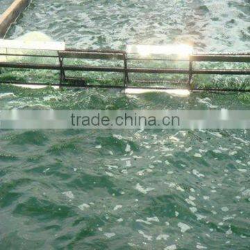 2015 Healthy Algae Spirulina for EU & USA Market photo-5