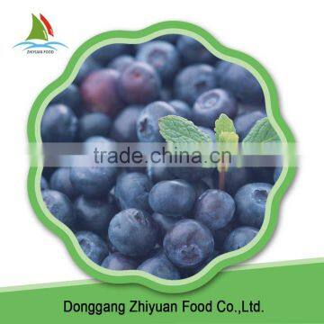Frozen Natura Lflavour Blueberry photo-5