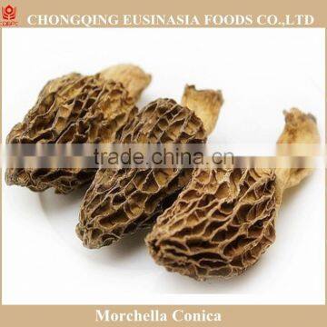 Wild Organic Dried Morchella Esculenta Mushroom