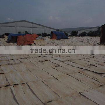 Acacia Core Veneer 1.8mm thickness making plywood