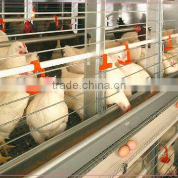 Reasonable price long service life Automatic feeding machine for chicken farm