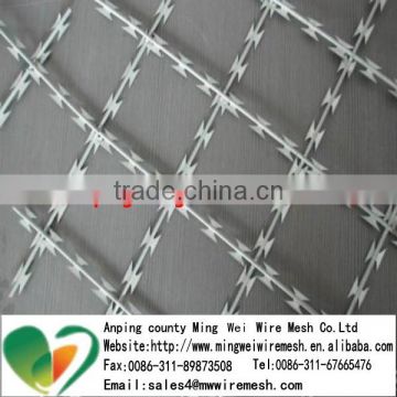 cheap price airport stainless steel razor barbed wire