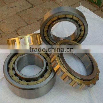 Cylinderical roller bearing with line bearing SL185009