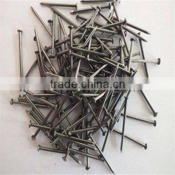 Low Price Common Nails / Iron Nail / Wire Nail Factory Made in China photo-6