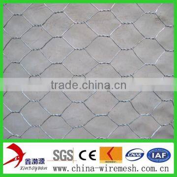 PVC Coated or Galvanized hexagonal wire netting