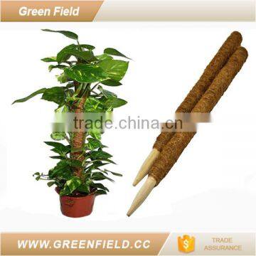 Green Field coconut coir poles for climbing plants