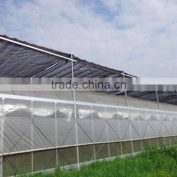 Cheap Greenhouse Kenya Market photo-5