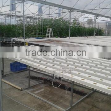 high-tech Greenhouses and Hydroponic Systems