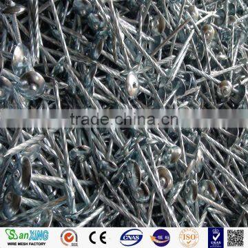 Factory! High Quality Loose Nails, Umbrella Head Roofing Nails photo-6